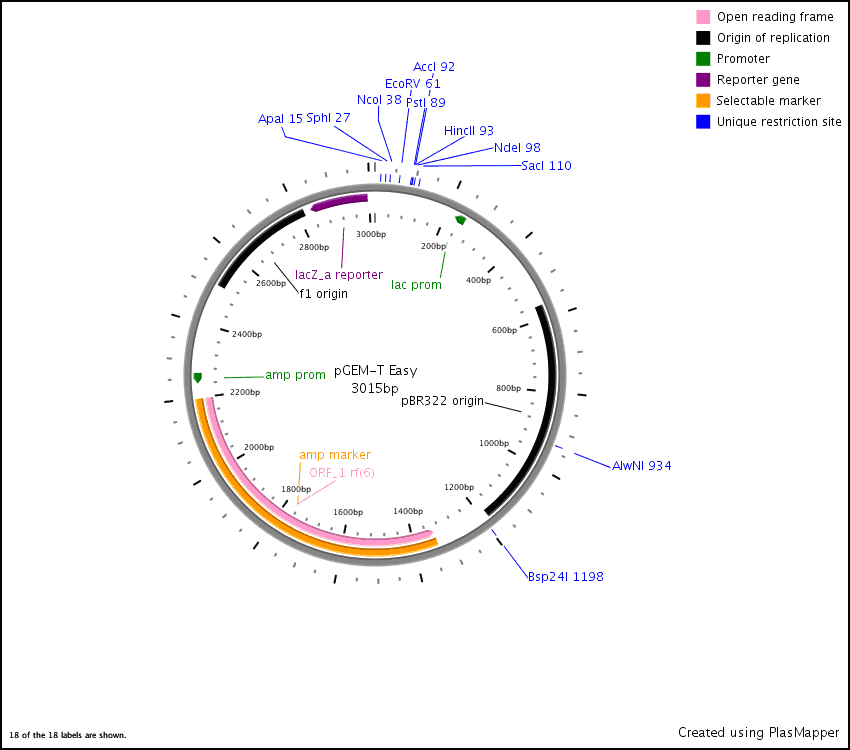 pdf mechanisms in bioenergetics